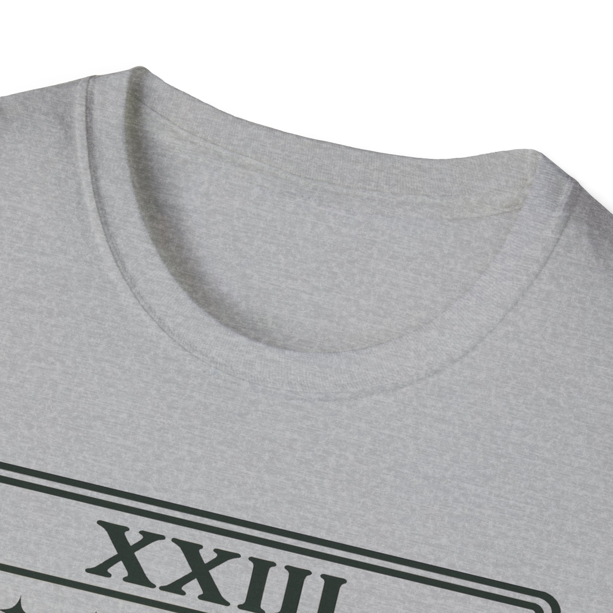 Veteran Shirt Tarot Card, Military Veteran Gift, Patriotic Shirt, Army Navy Veteran Tee, USA Pride Shirt, Veteran Gift Idea