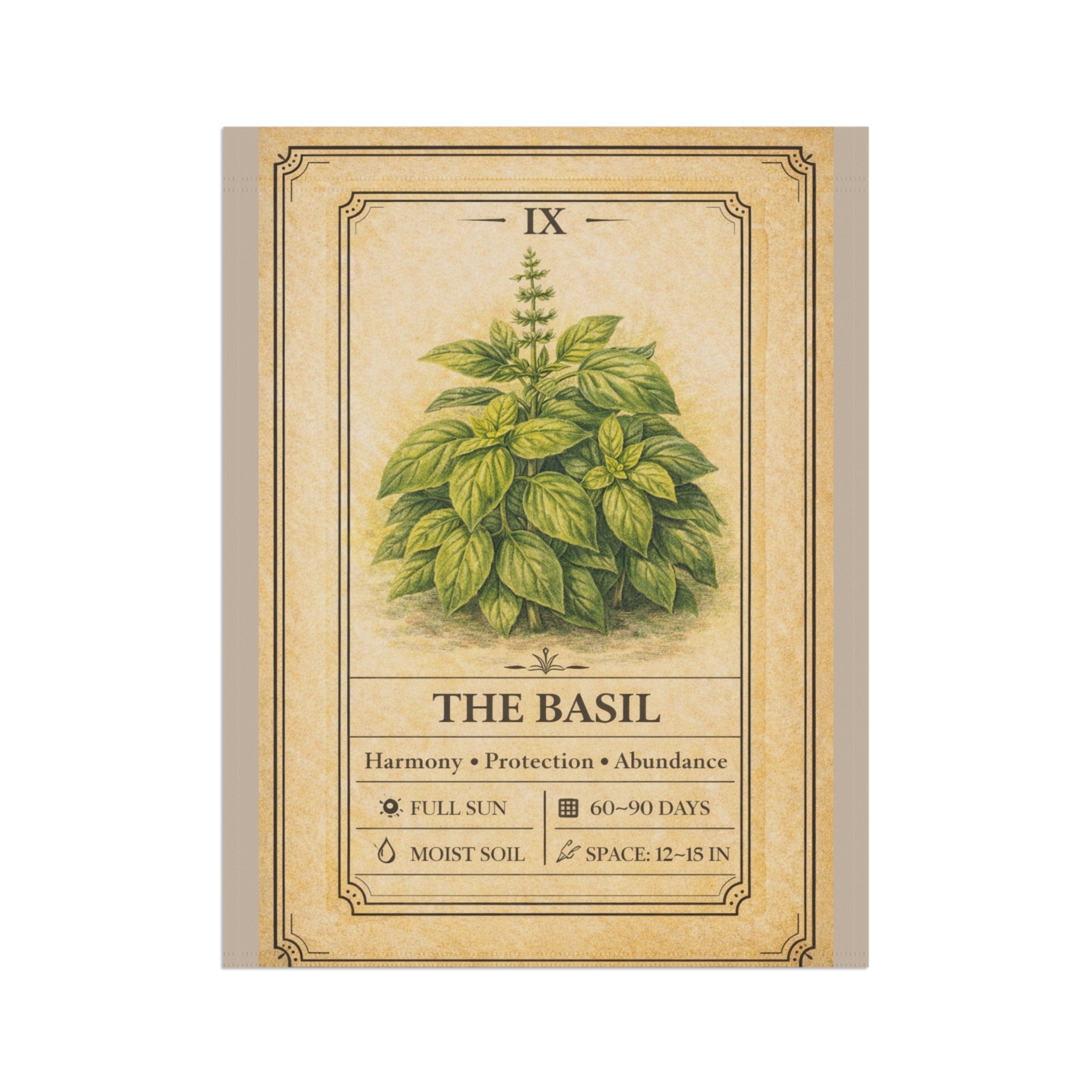 Basil Herb Illustration Garden Flag | Plant Info Banner