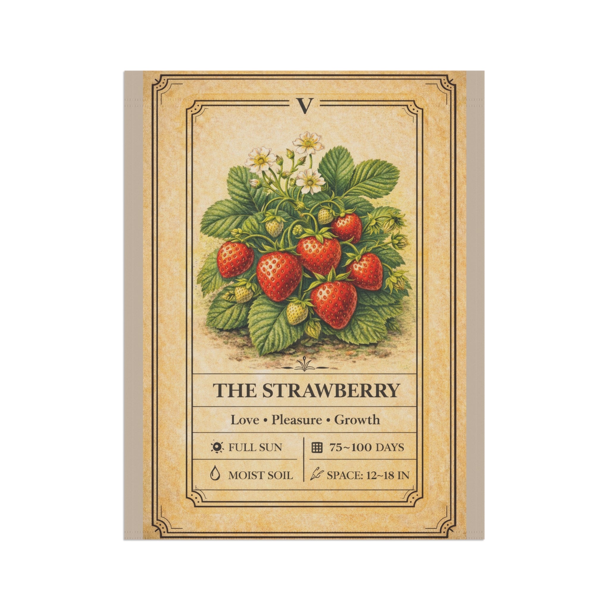 Vintage Strawberry Botanical Garden Flag | House Banner, Plant Care Art