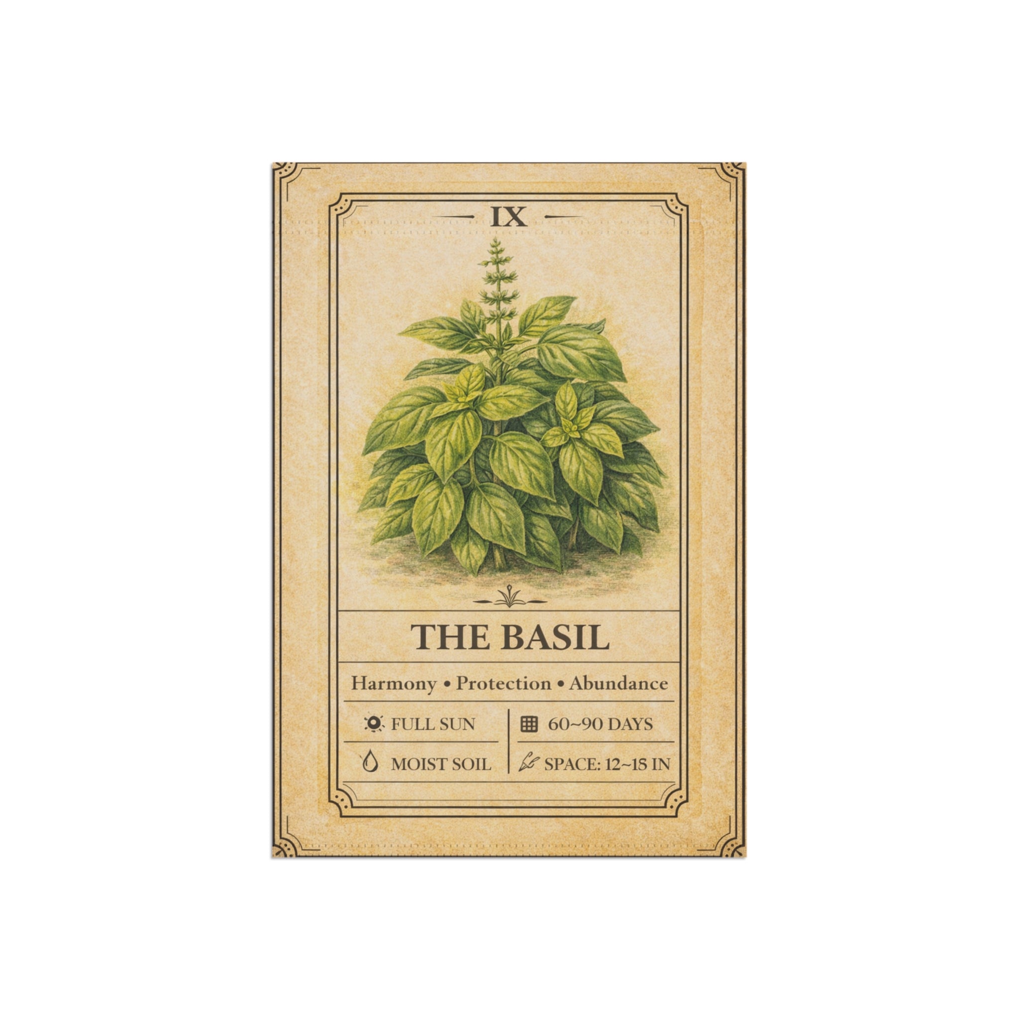 Basil Herb Illustration Garden Flag | Plant Info Banner