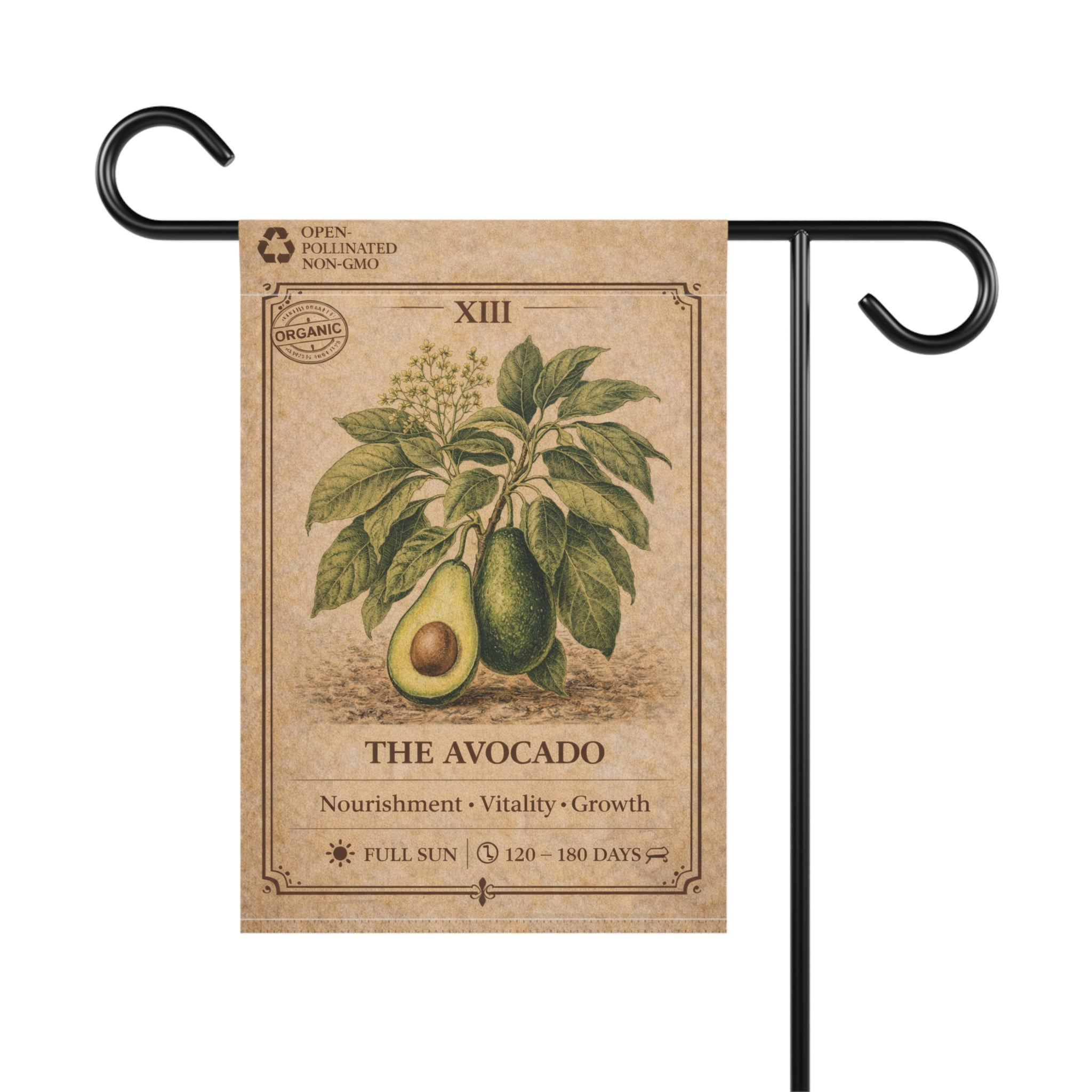 Avocado Botanical Illustration Garden Flag | Plant Care Diagram Banner