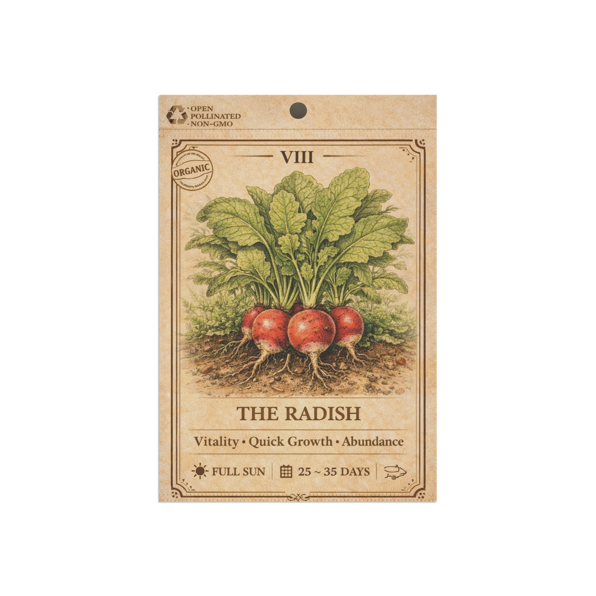 Vintage Radish Illustration Garden Flag | House Banner, Seed Packet Style