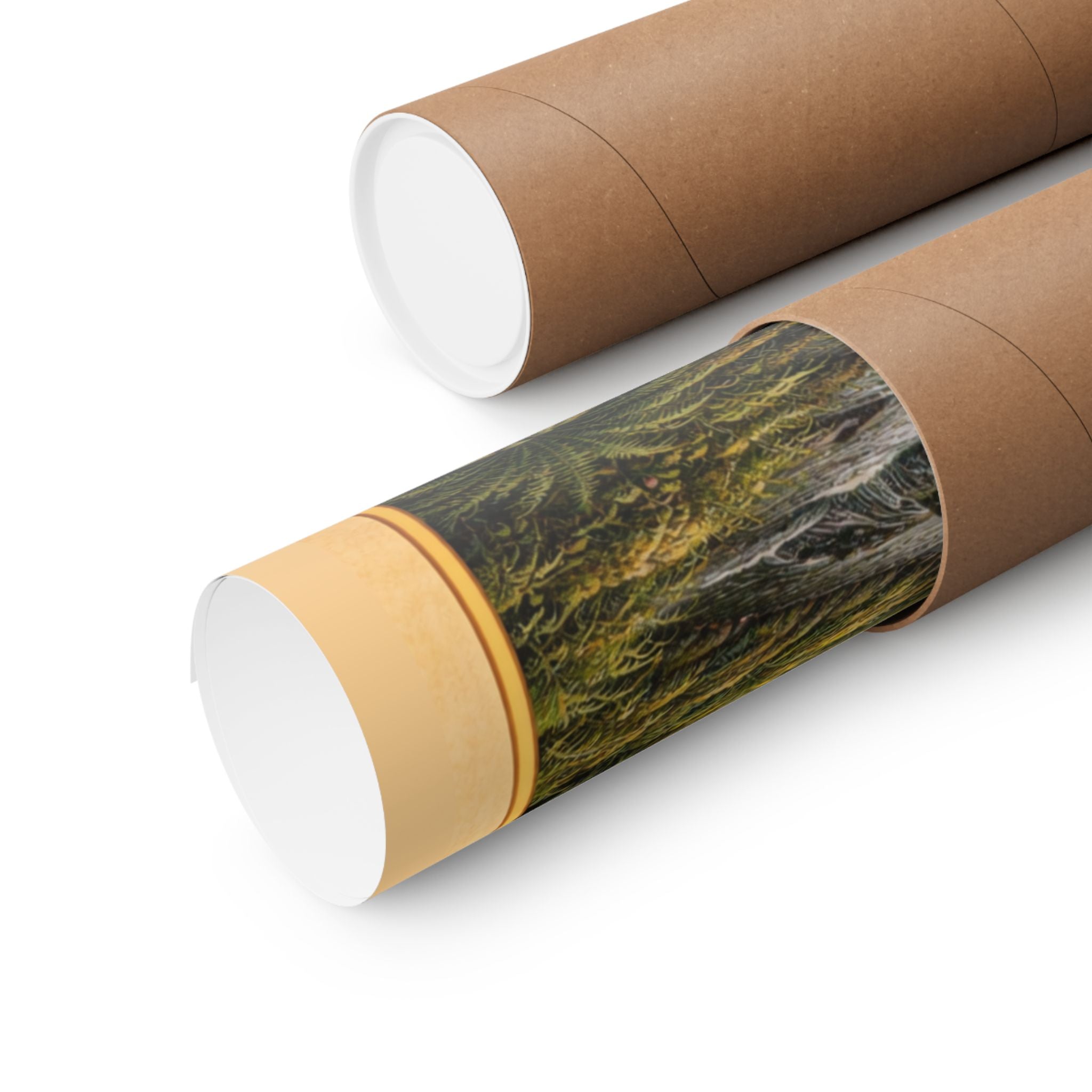 Olympic National Park Waterfall Poster | Matte Vertical Poster