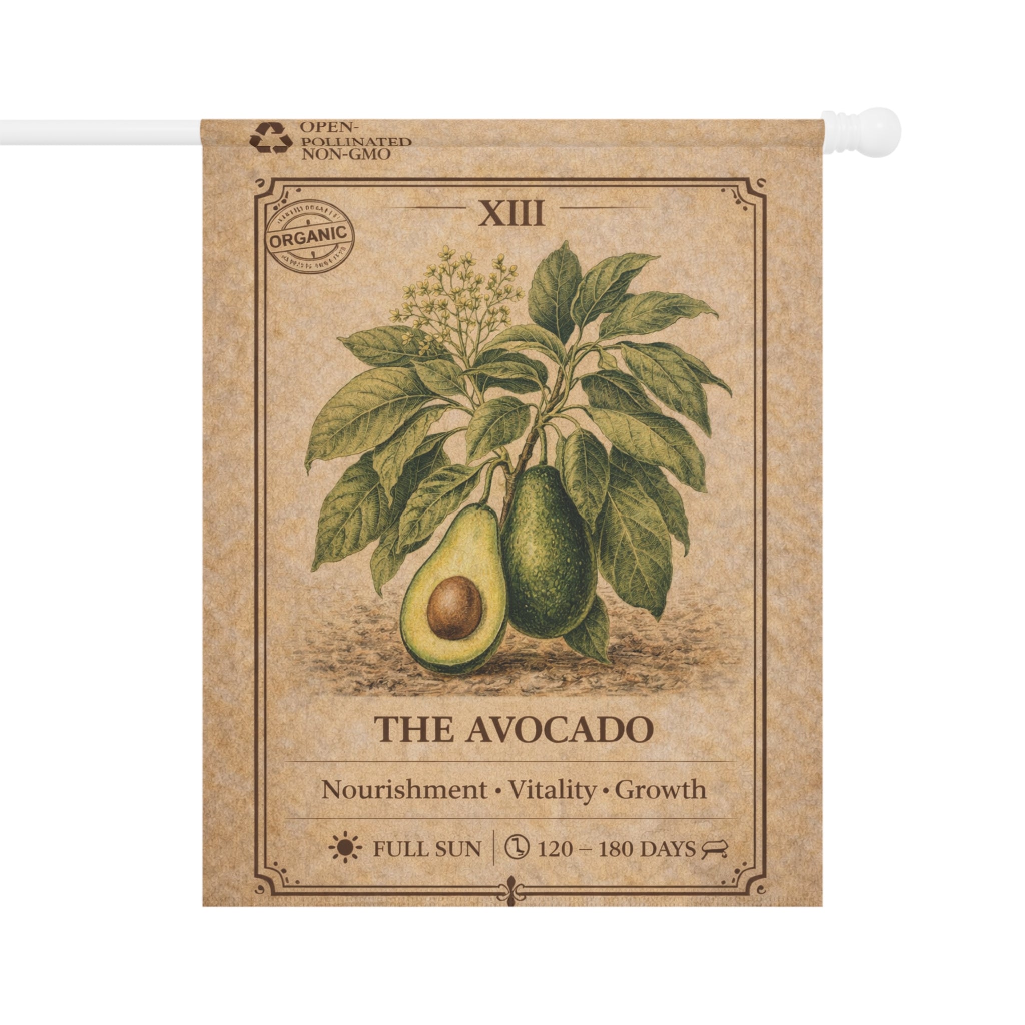 Avocado Botanical Illustration Garden Flag | Plant Care Diagram Banner