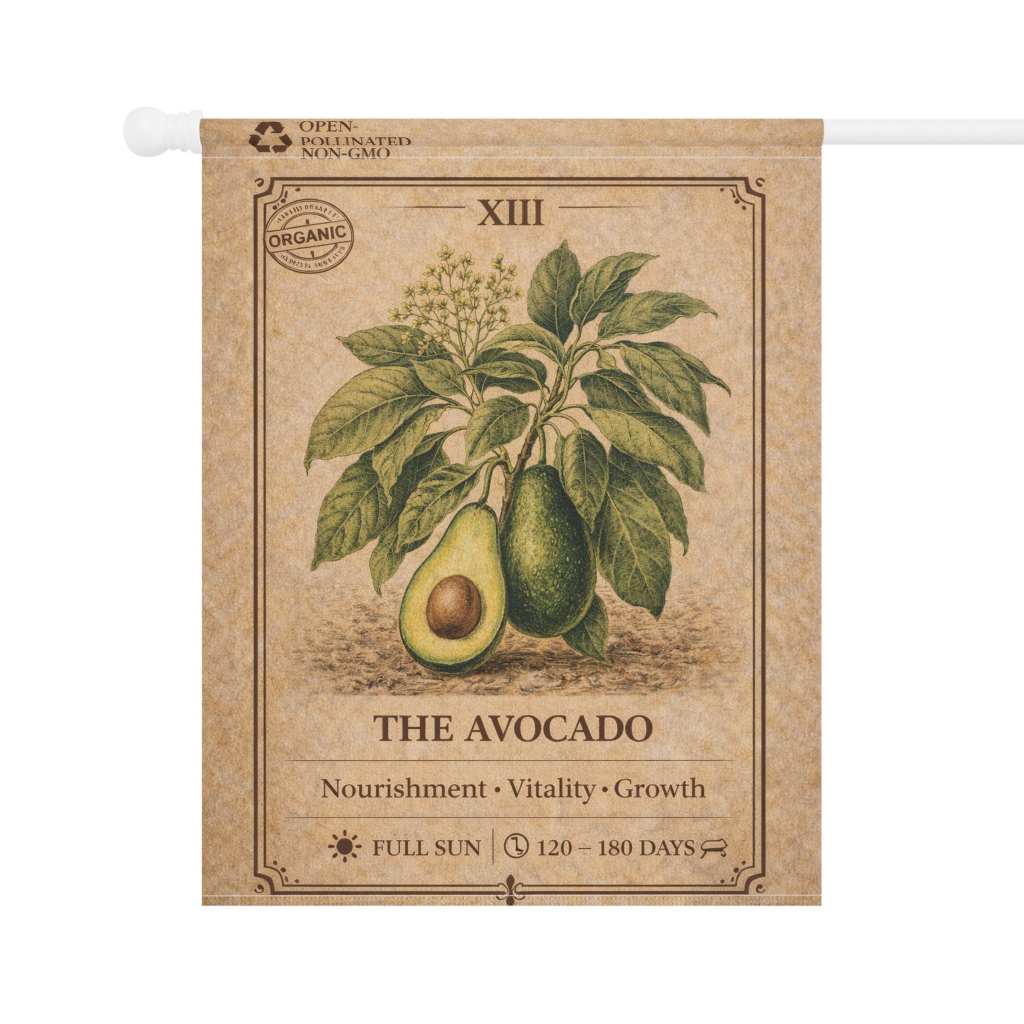 Avocado Botanical Illustration Garden Flag | Plant Care Diagram Banner