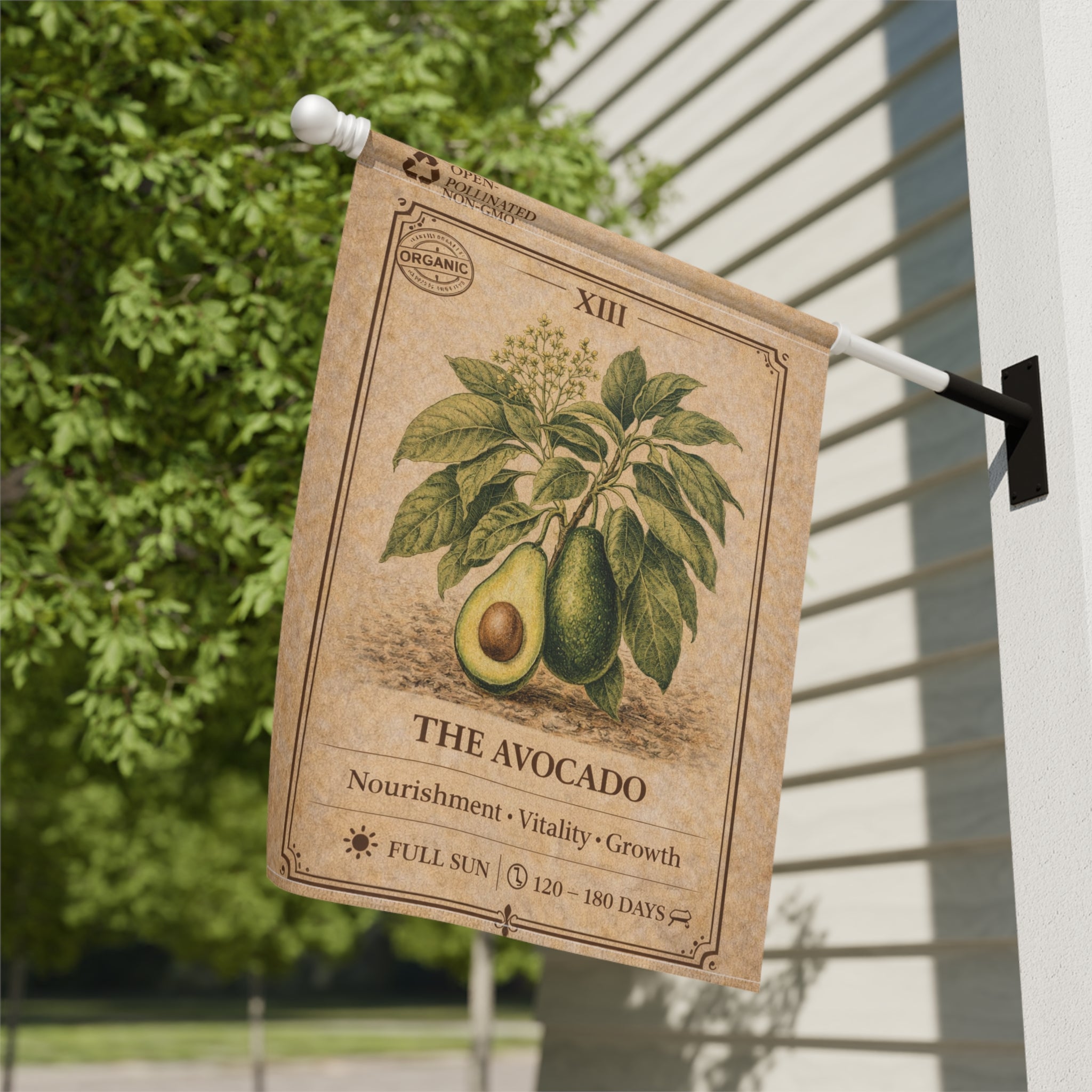 Avocado Botanical Illustration Garden Flag | Plant Care Diagram Banner