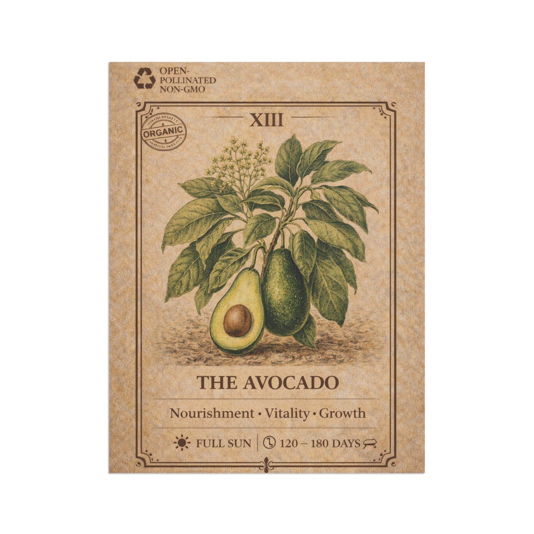 Avocado Botanical Illustration Garden Flag | Plant Care Diagram Banner