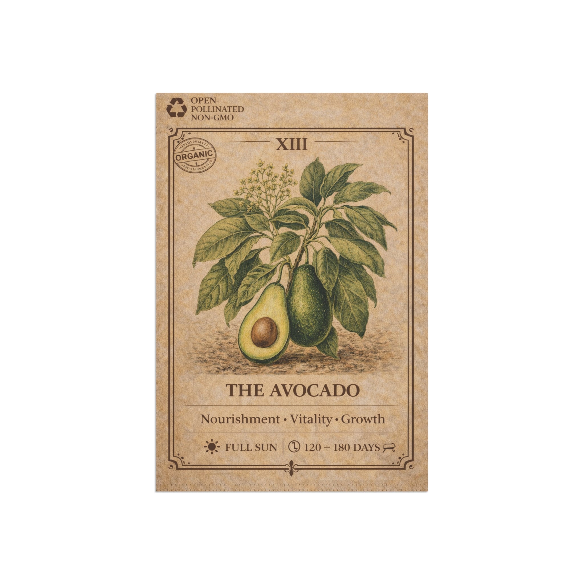 Avocado Botanical Illustration Garden Flag | Plant Care Diagram Banner