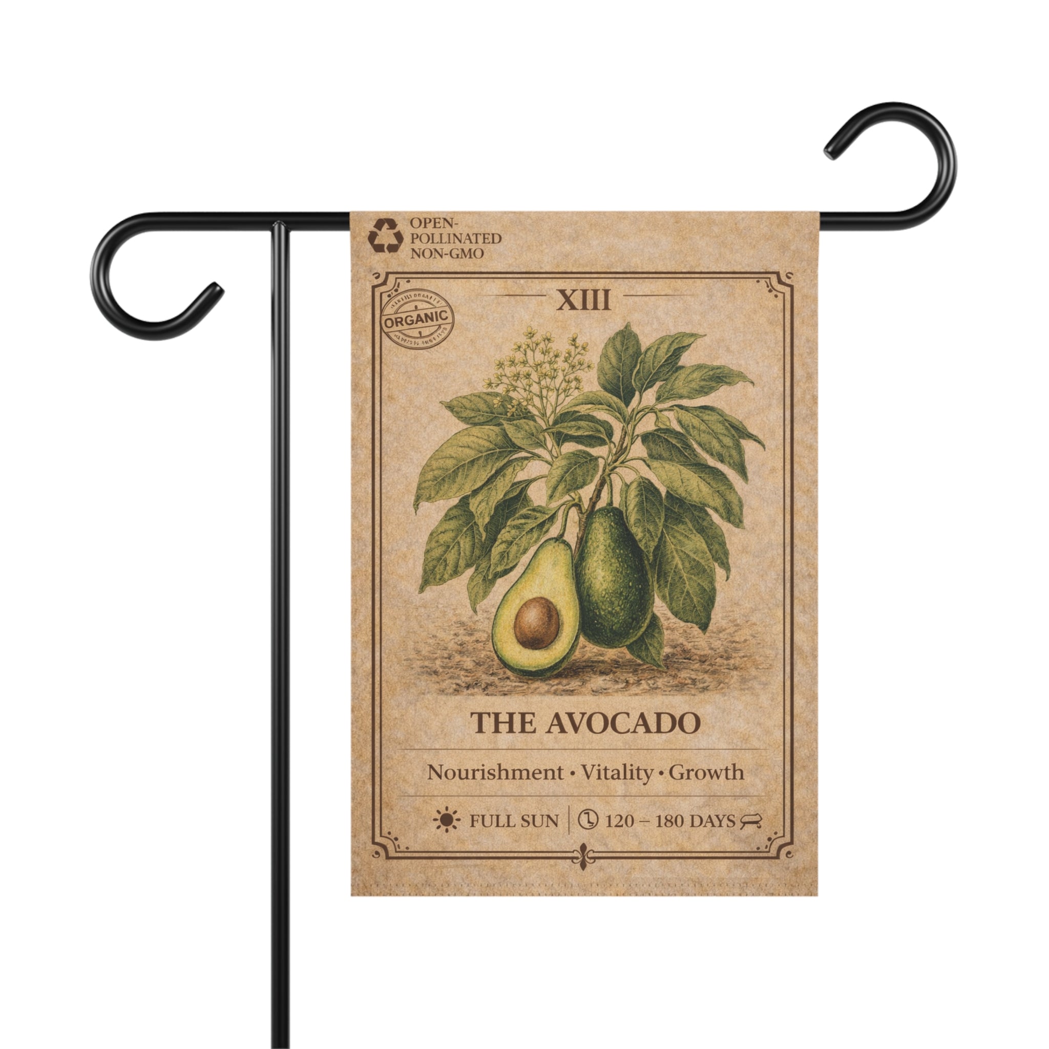 Avocado Botanical Illustration Garden Flag | Plant Care Diagram Banner