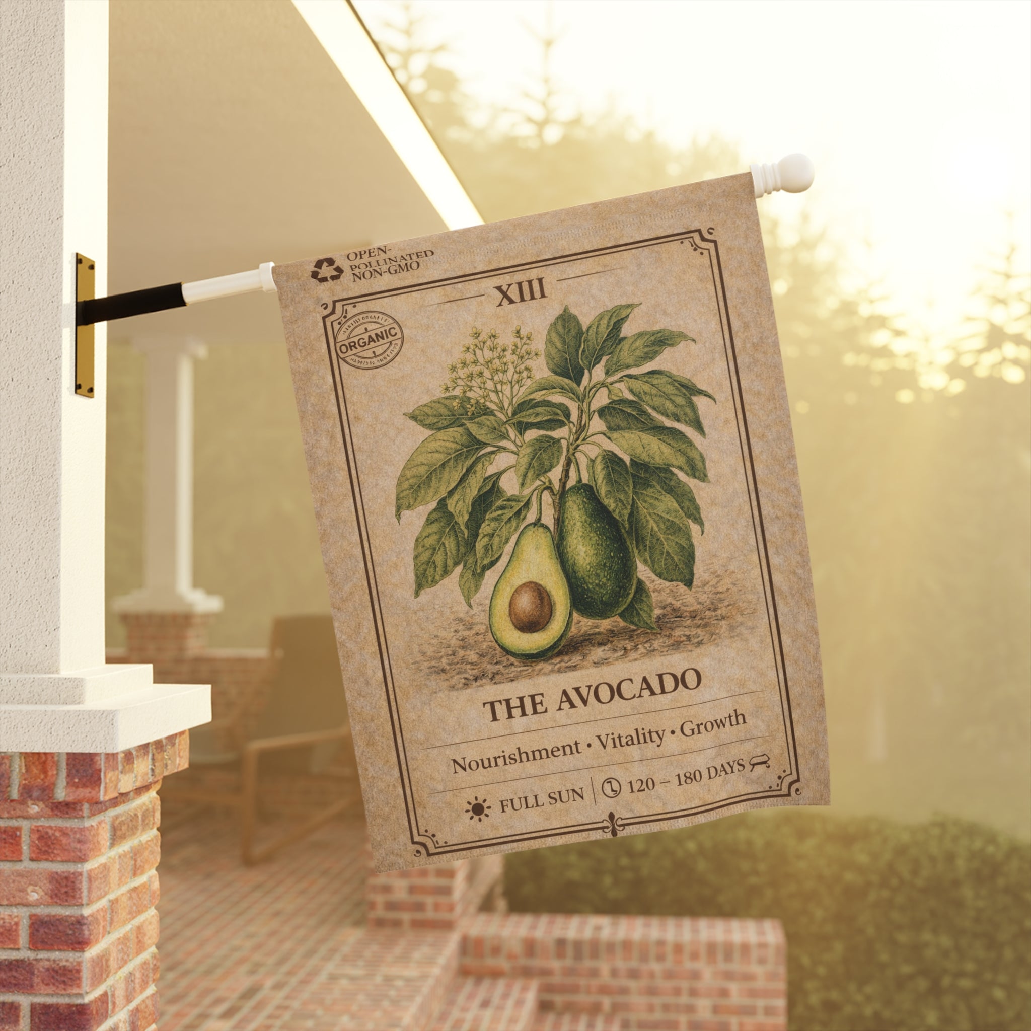 Avocado Botanical Illustration Garden Flag | Plant Care Diagram Banner